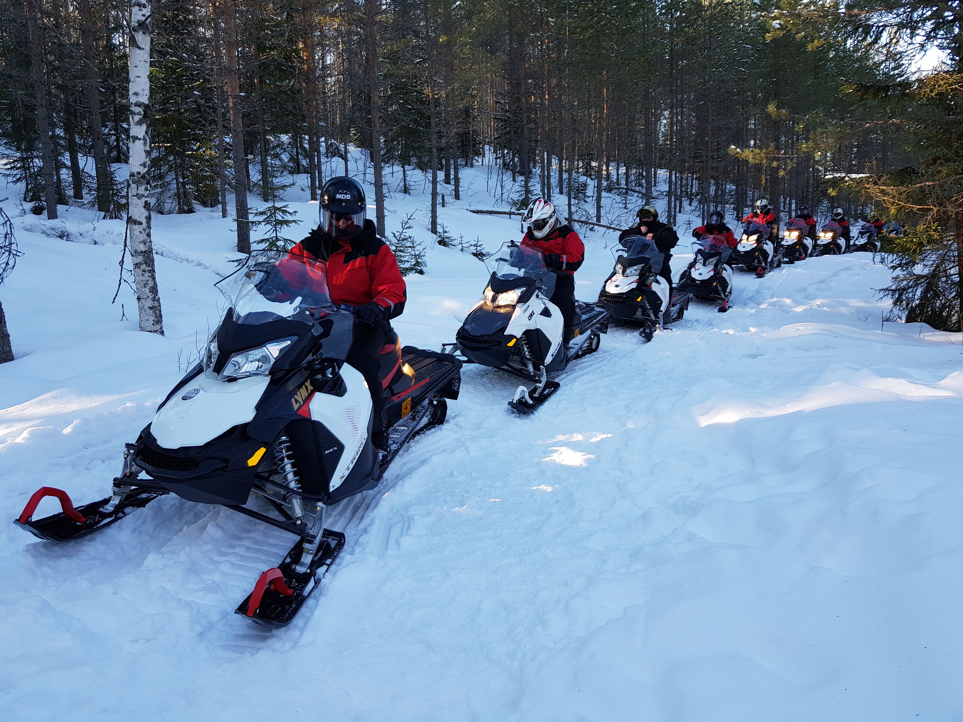 Snow bikes