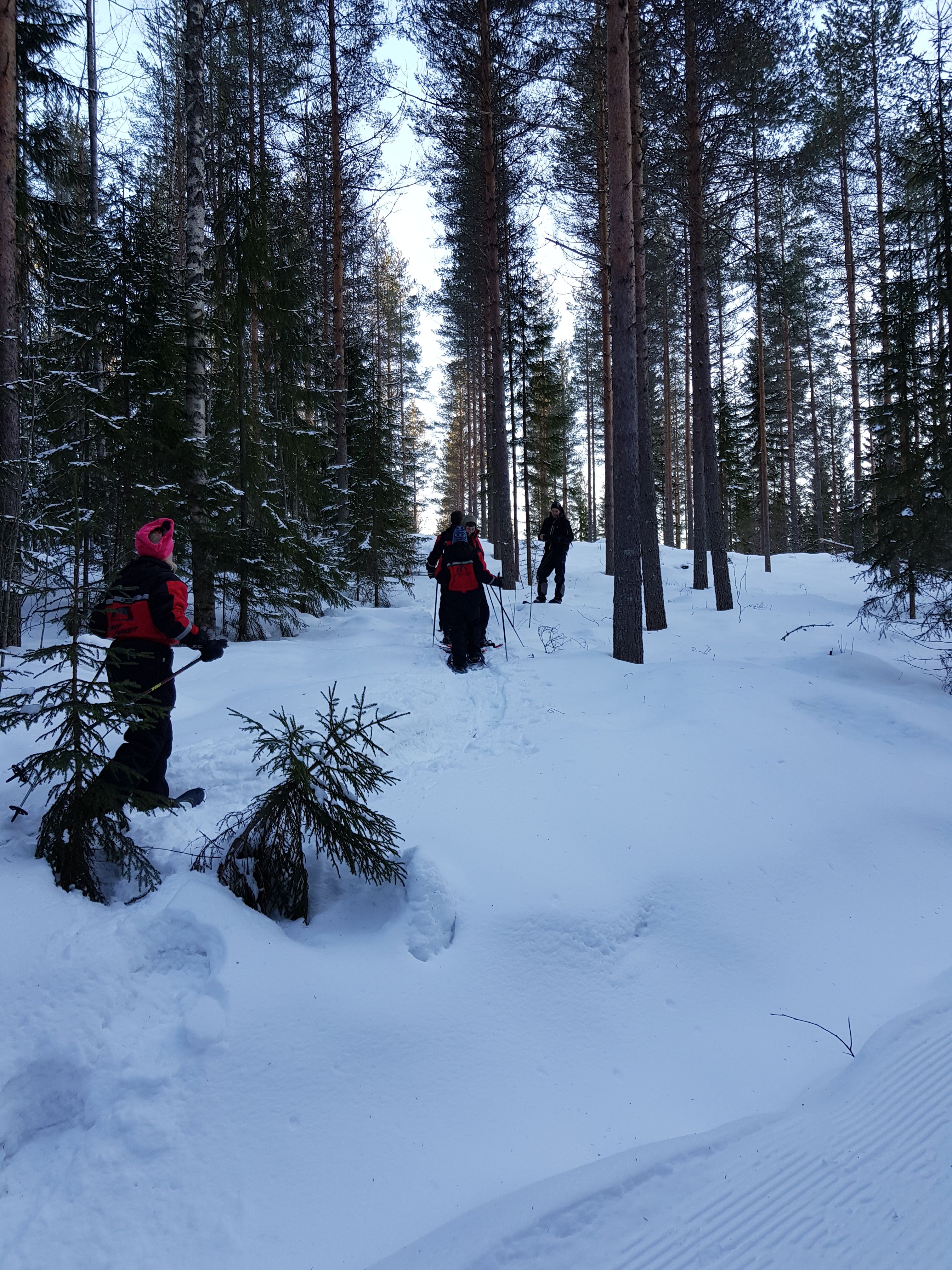Snow shoes