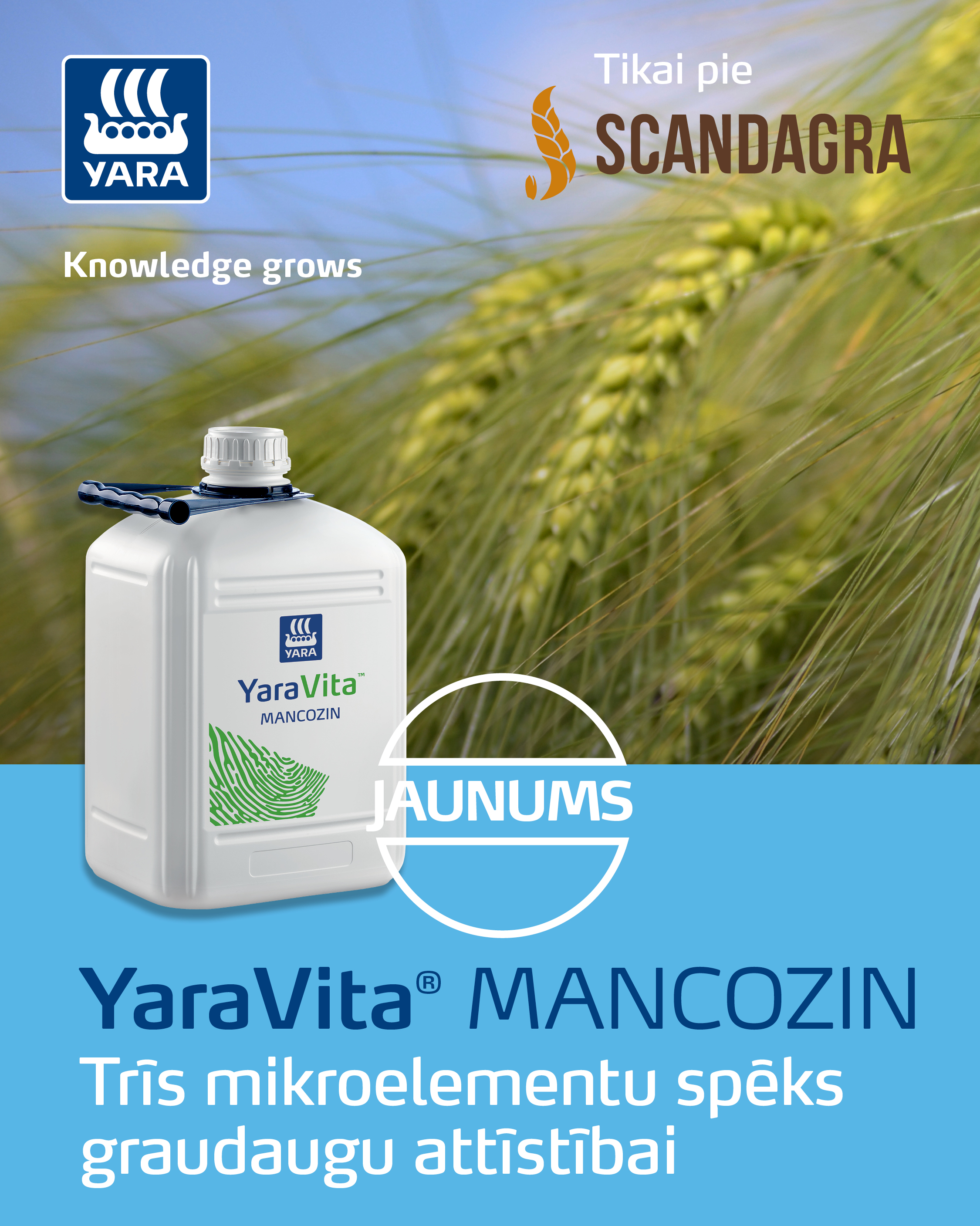 Mancozin for Scandagra