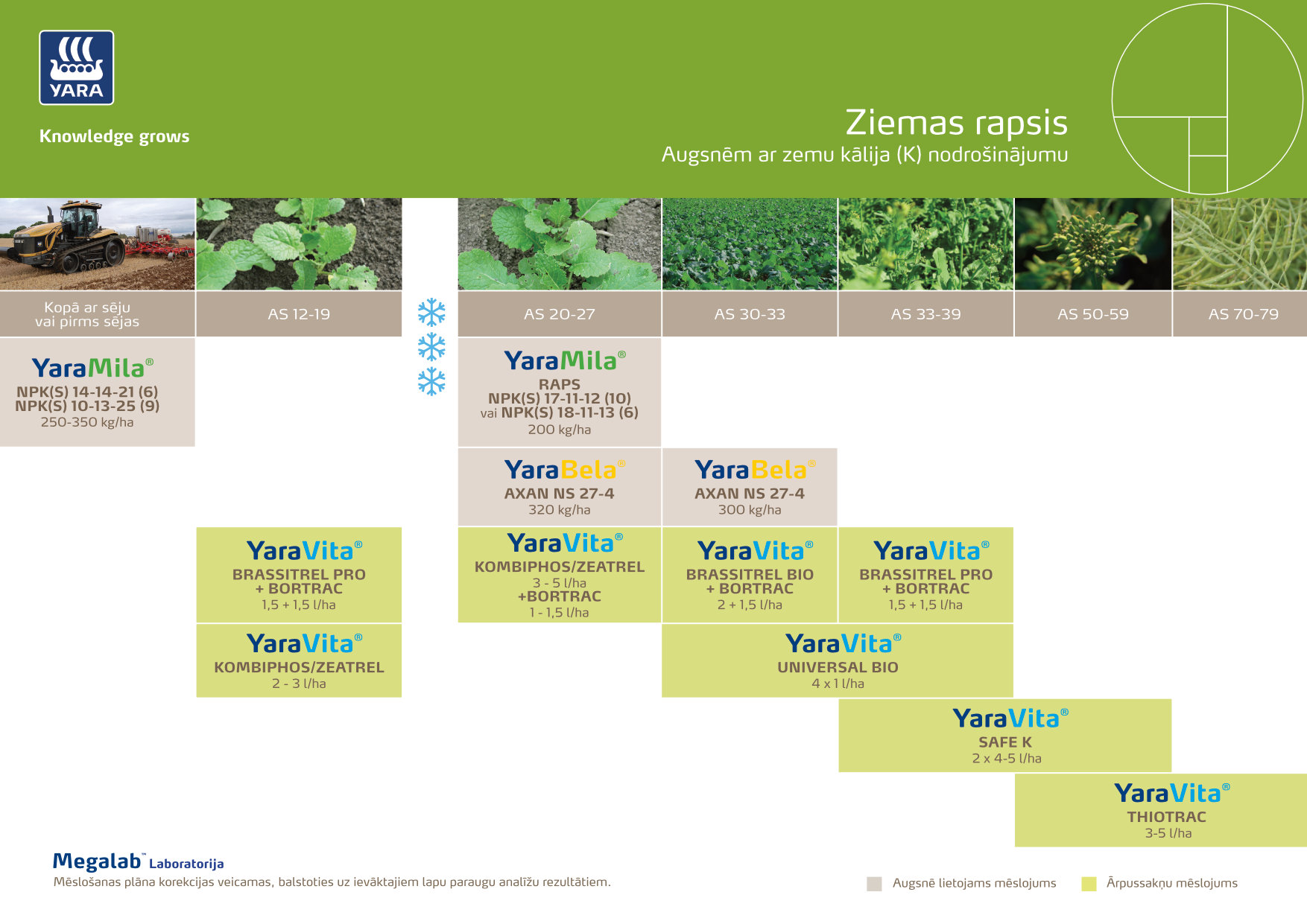 Ziemas rapsis minus K