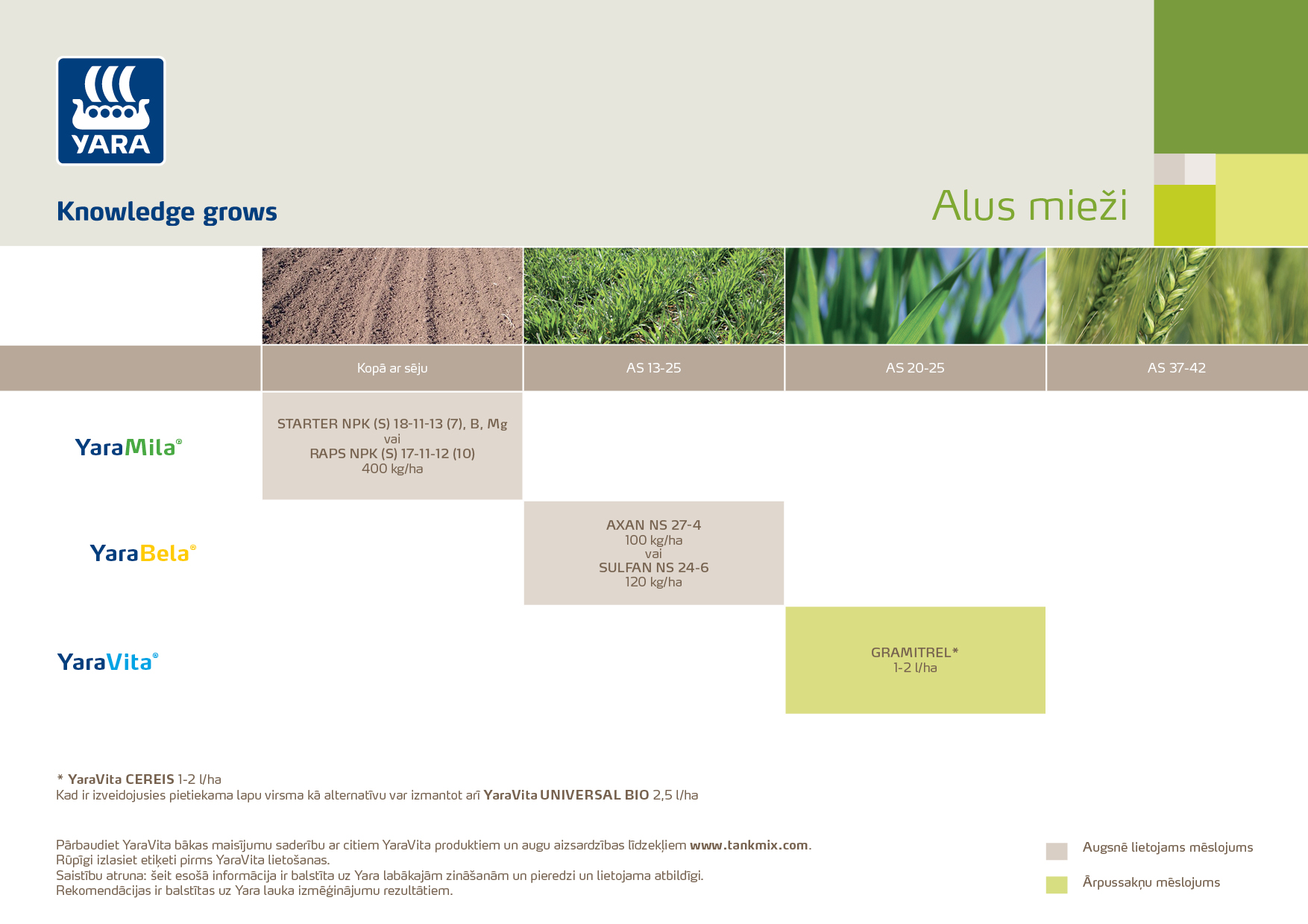 200223AS1 Alus miez╠īi.jpg