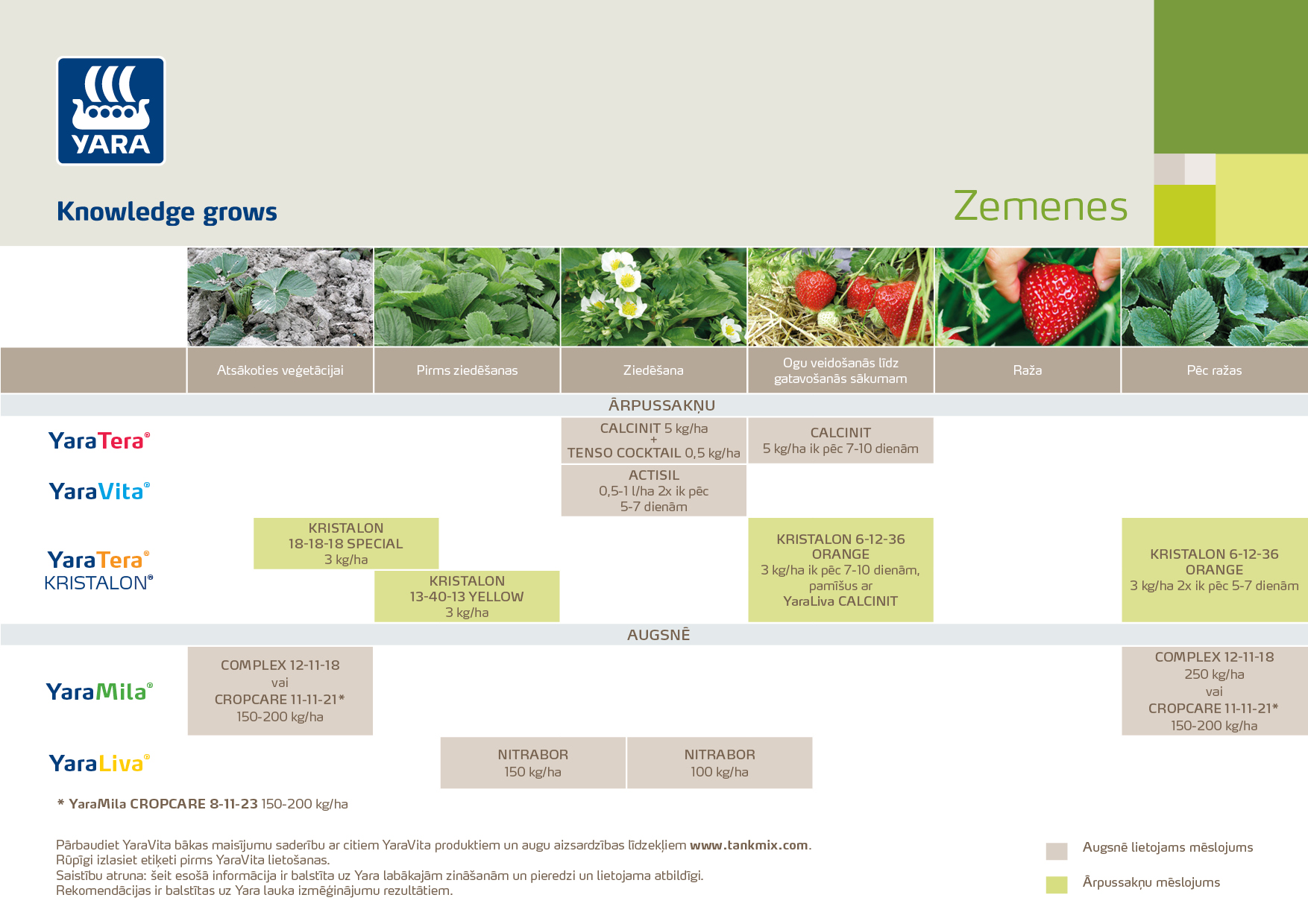 200223AS1 Zemenes.jpg