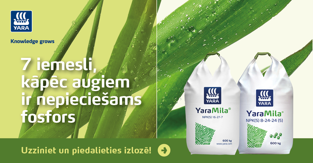 7 iemesli, kāpēc augiem ir nepieciešams fosfors