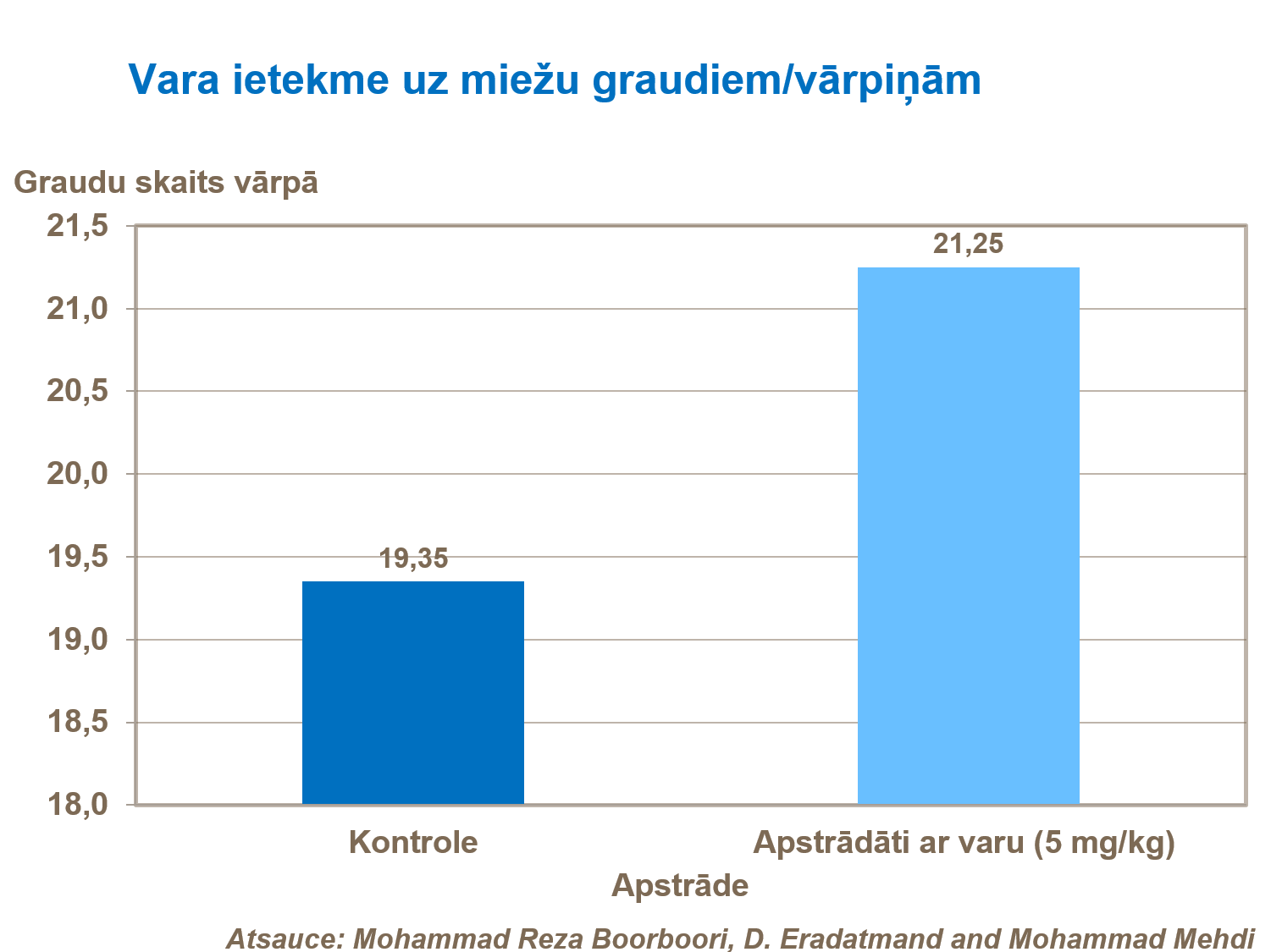 Vara ietekme uz miežu graudiem,vārpiņām.png
