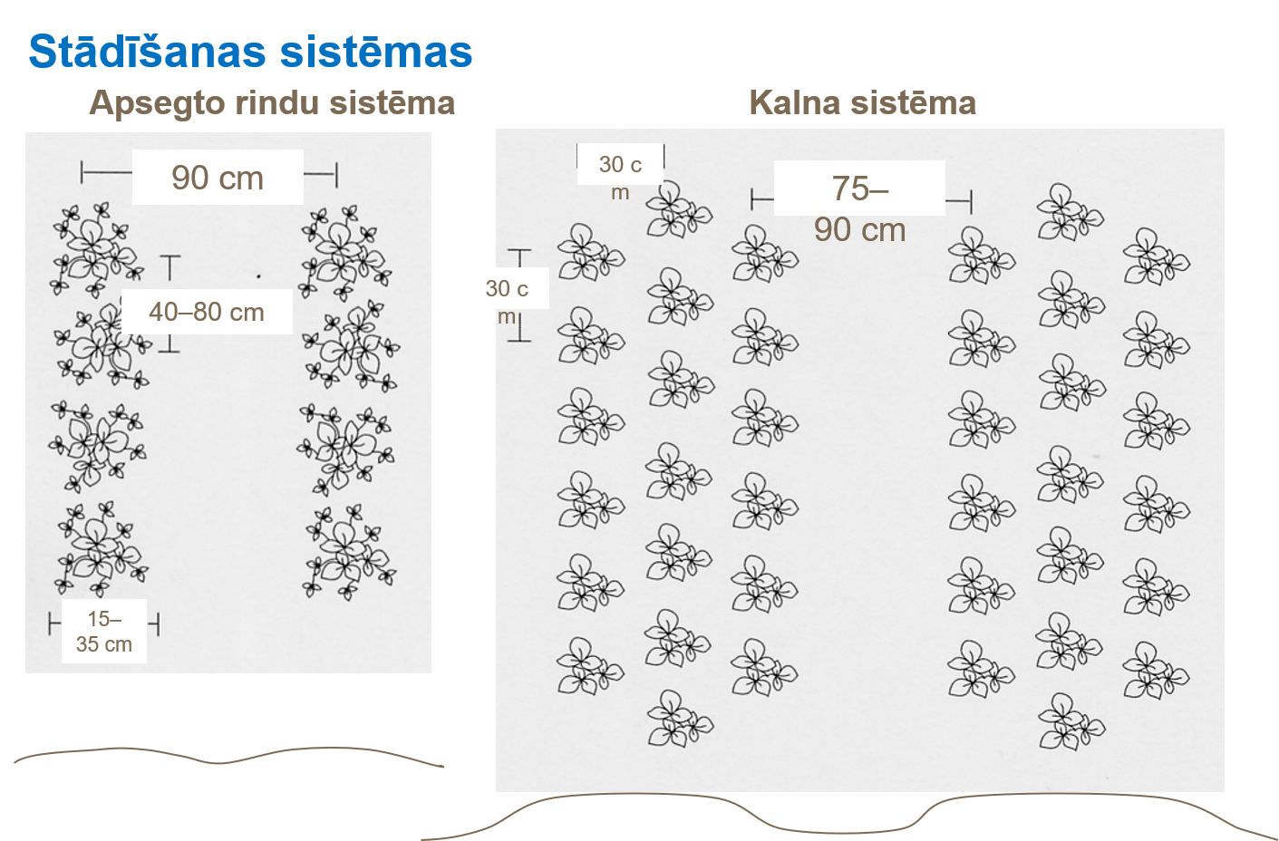 Stādīšanas sistēmas.png