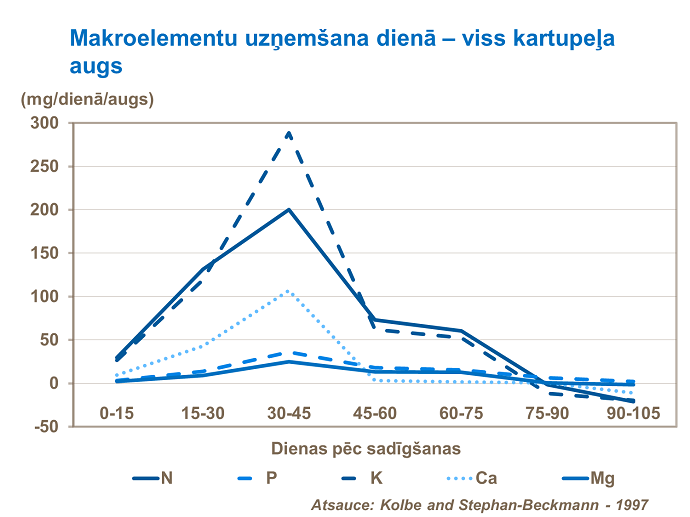 Makroelementu uzņemšana dienā- viss augs