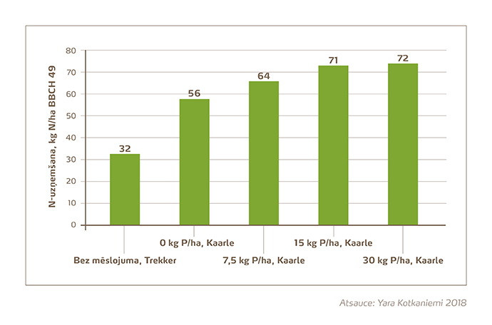 Slāpekļa uzņemšana