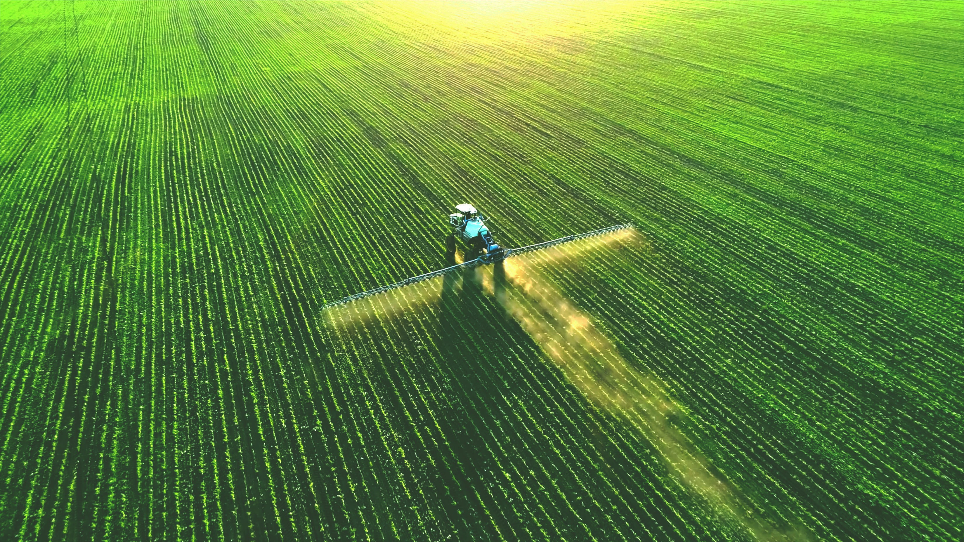 Sprayer-on-the-fields