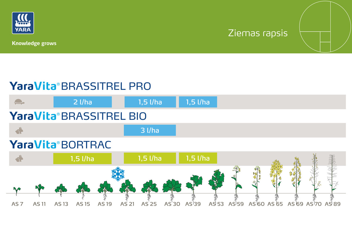 meslosanas programma